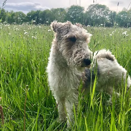 La Blanchisserie Le Puy Saint-Bonnet