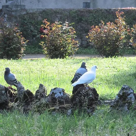 Nocleg ze śniadaniem La Blanchisserie