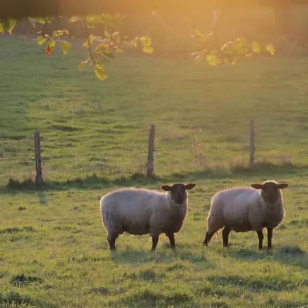 Nocleg ze śniadaniem La Blanchisserie Le Puy Saint-Bonnet